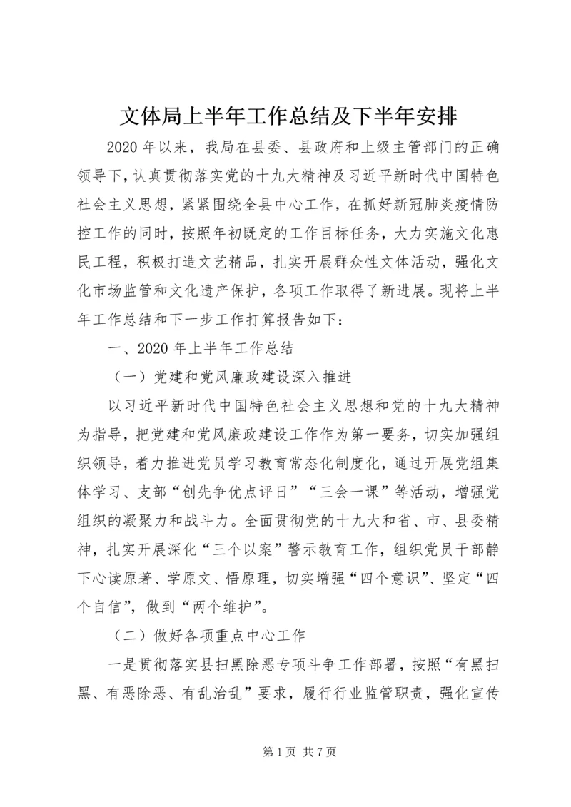 文体局上半年工作总结及下半年安排.docx