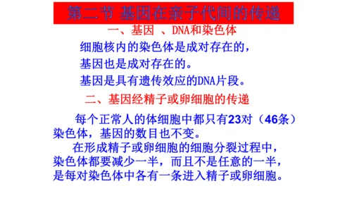 人教版生物八年级下册知识点总结