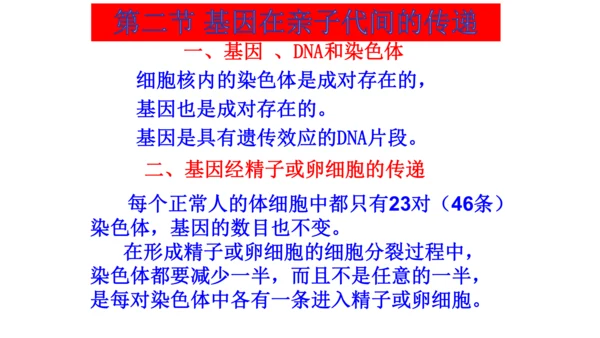 人教版生物八年级下册知识点总结