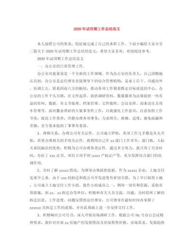 精编之年试用期工作总结范文.docx