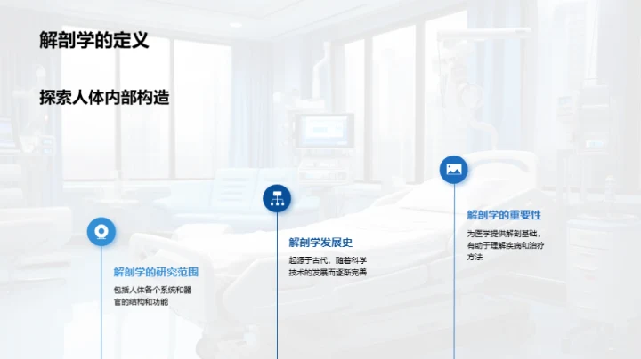 人体解剖学探索