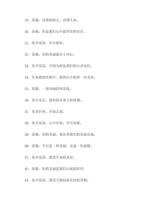 花楹的口号