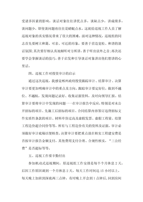 个人巡视工作心得体会范文五篇.docx