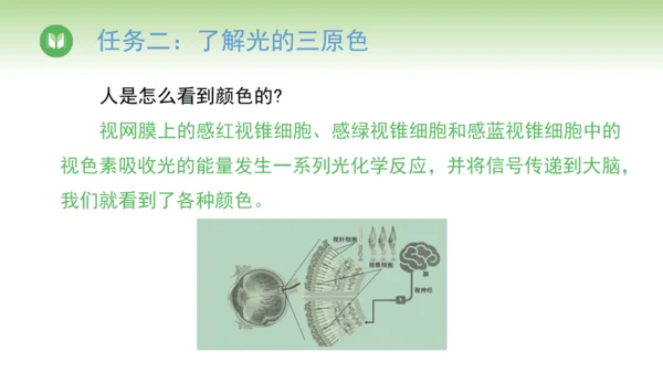 2024-2025学年人教版物理八年级上册4.5光的色散课件（19页ppt）