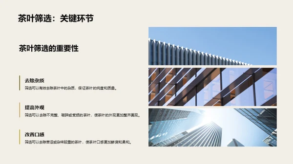 茶叶生产全链路探析
