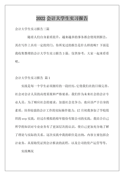 2022会计大学生实习报告