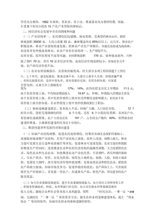乡镇村情调查报告计划10篇