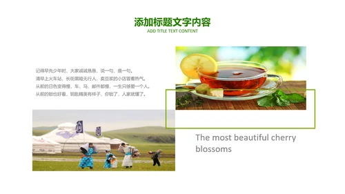 茶具茶叶绿茶白茶红茶黑茶茶文化茶厂PPT