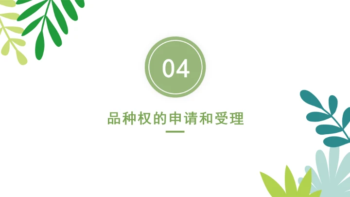 普法全文学习2025年4月新修订《中华人民共和国植物新品种保护条例》PPT课件
