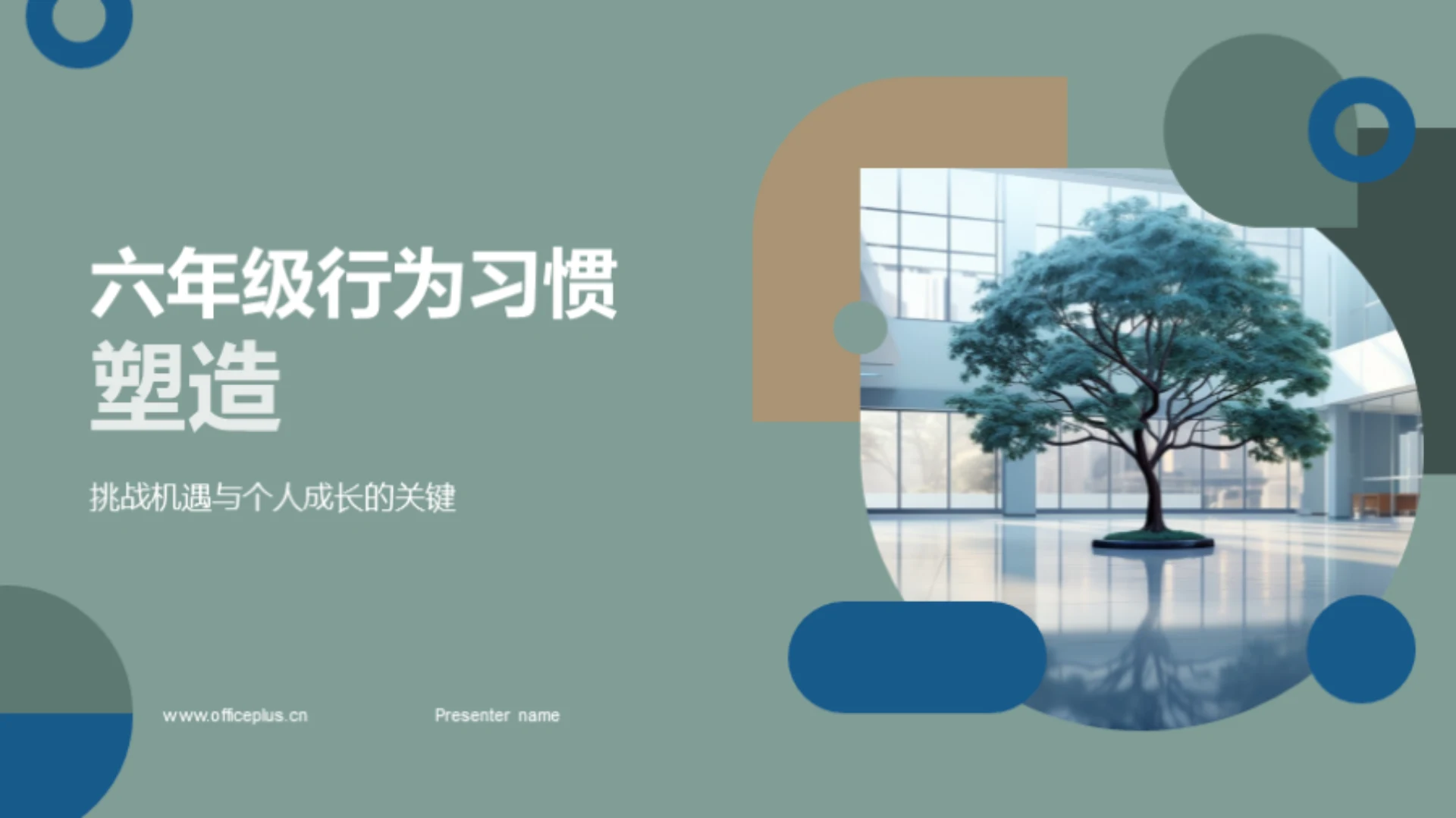 六年级行为习惯塑造