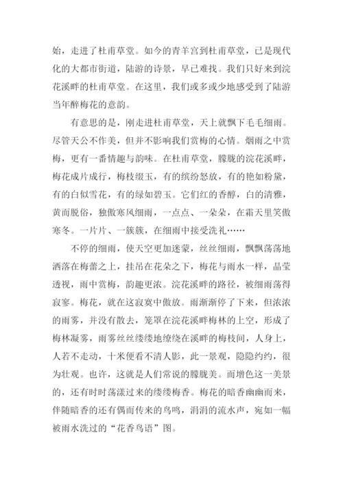 梅花的作文0.docx