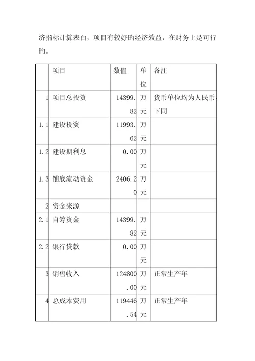 制衣专项项目可行性专题研究报告