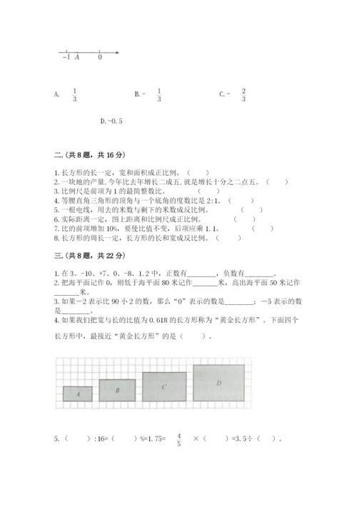 苏教版数学六年级下册试题期末模拟检测卷（精练）.docx