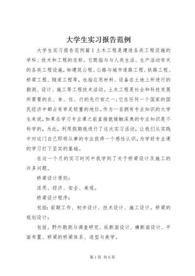 大学生实习报告范例.docx