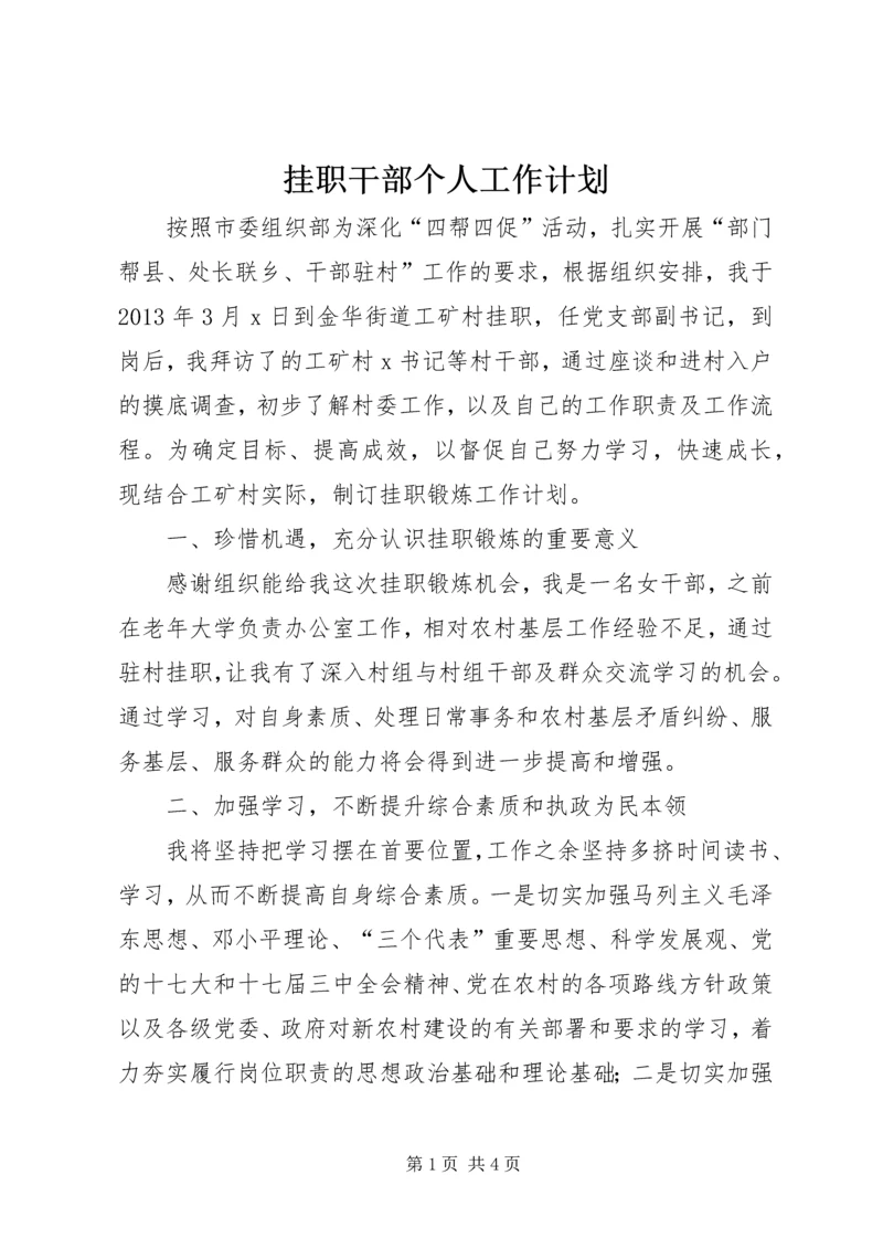 挂职干部个人工作计划.docx