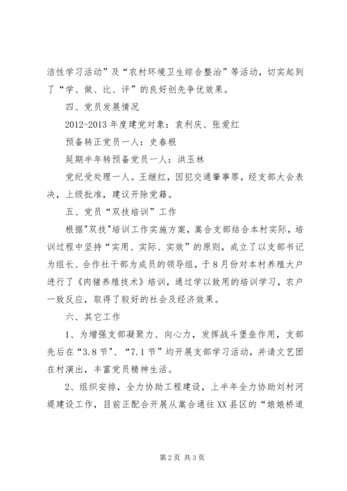 支部党建工作汇报材料.docx