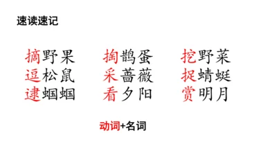 23祖先的摇篮 课件