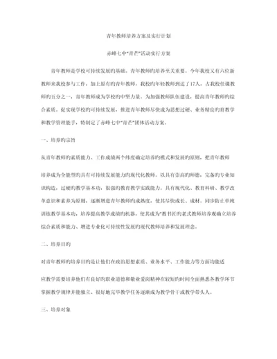 青年教师培养方案及实施计划.docx