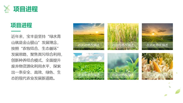 绿色茶山农业种植项目汇报通用PPT模板