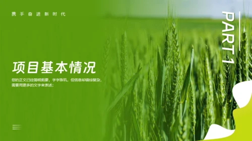 乡村振兴项目工作报告通用PPT模板