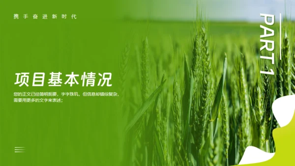 乡村振兴项目工作报告通用PPT模板