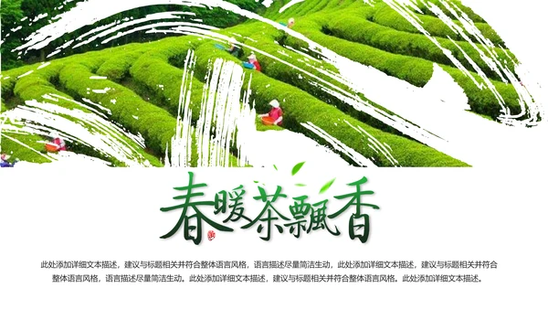 清新绿茶茶文化采茶茶道茶艺茶文化PPT模板