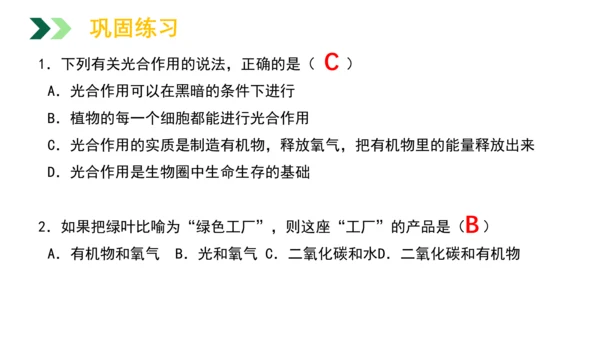 3.5.1 光合作用吸收二氧化碳释放氧气2023-2024学年七年级生物上册精品教学课件（人教版）(