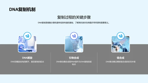 DNA化学性质研讨PPT模板