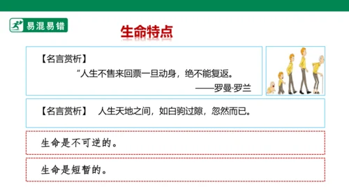 新课标七上第四单元生命的思考复习课件2023