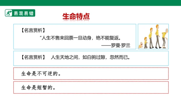 新课标七上第四单元生命的思考复习课件2023