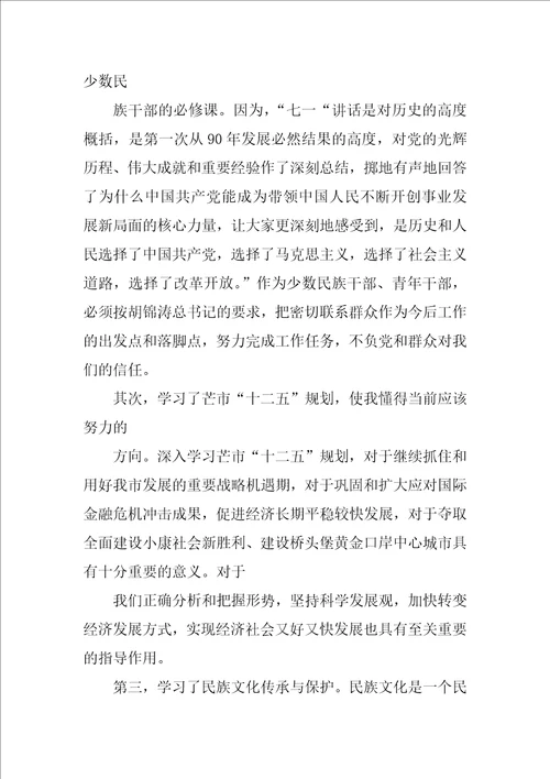 少数民族培训心得体会