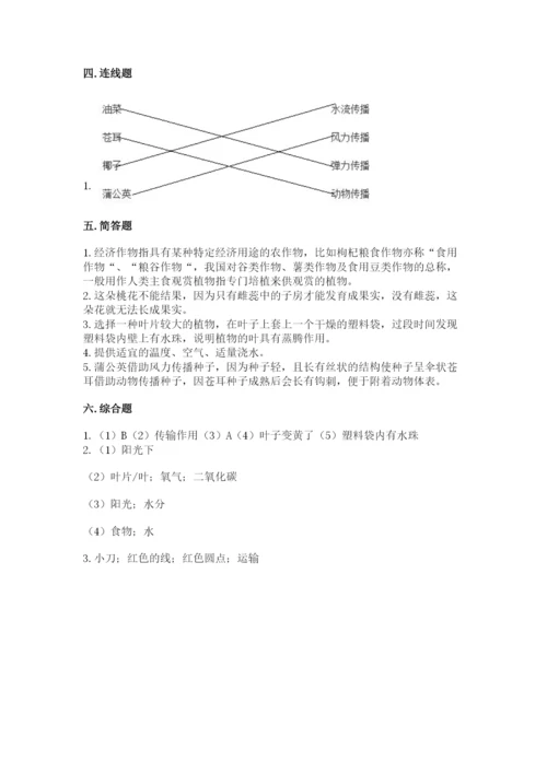 教科版四年级下册科学第一单元《植物的生长变化》测试卷精品【a卷】.docx