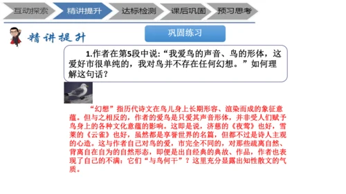 七年级上册《鸟》+“人与动物”教学设计PPT