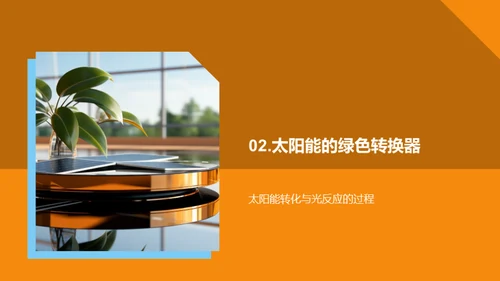 绿色能源之源