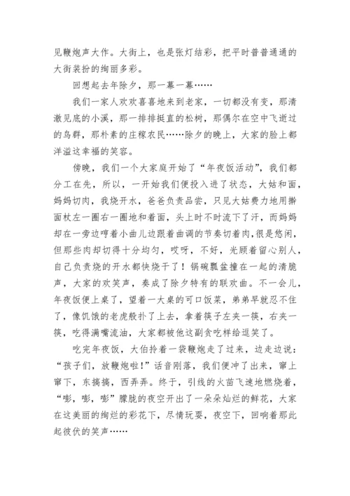 春节节日作文_1.docx