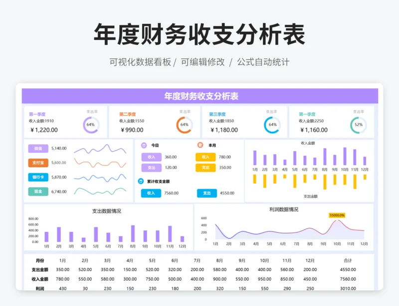 年度财务收支分析表