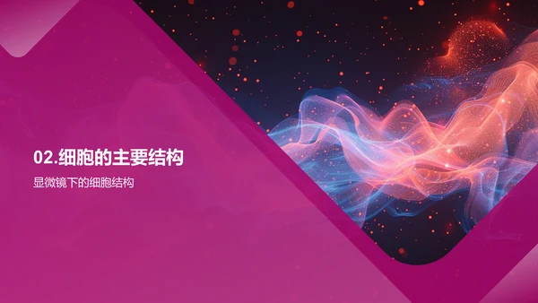 细胞知识讲解PPT模板