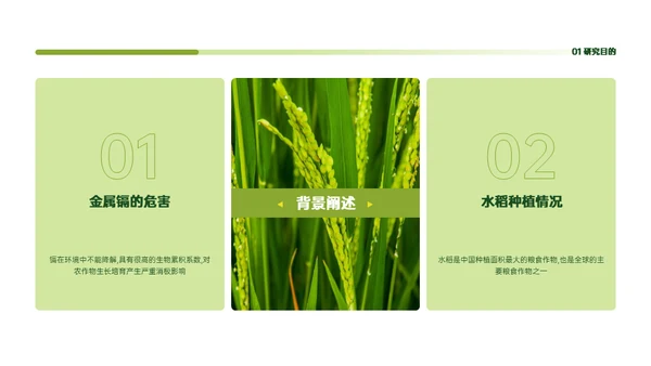 稻谷麦穗增产农作物与重金属污染通用PPT模板