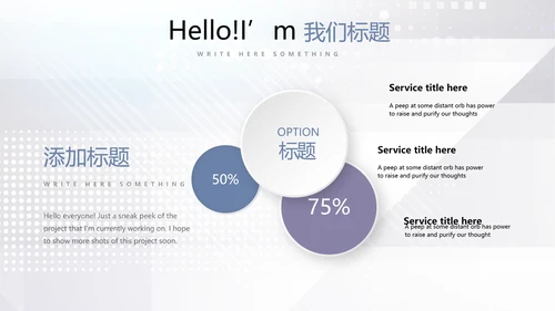 公安科技网络信息软件科技商务动态PPT