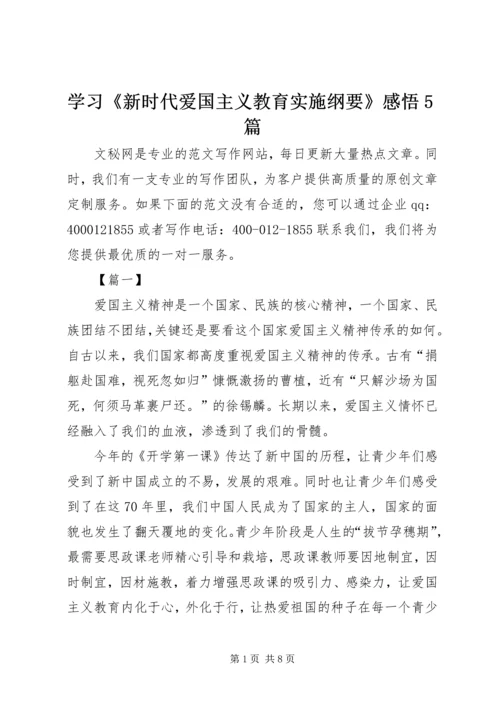 学习《新时代爱国主义教育实施纲要》感悟5篇.docx