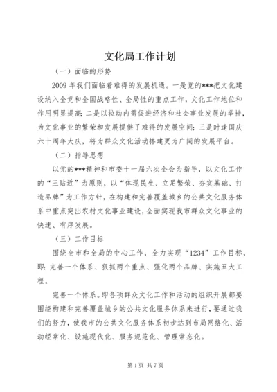 文化局工作计划.docx