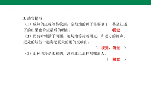 3《雨的四季》课件