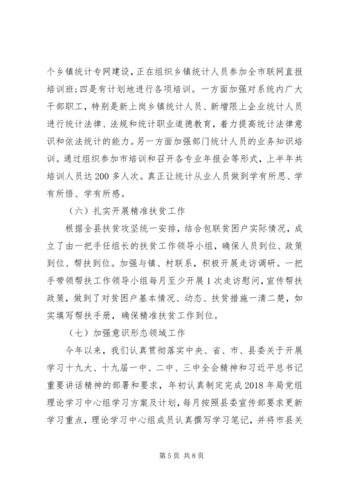 统计局XX年上半年工作总结及下半年工作安排 (2).docx