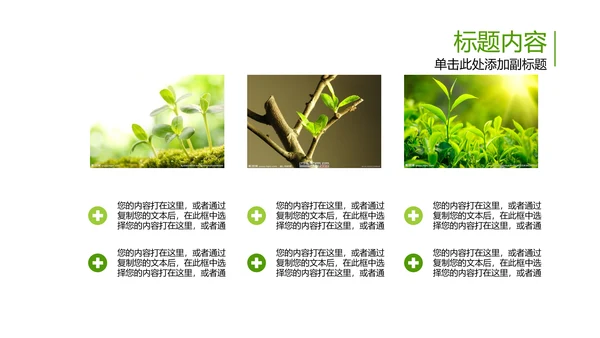 开场视频片头小苗生长发芽开花ppt模板