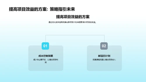 项目综合评估报告