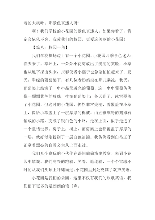 小学四年级校园一角.docx