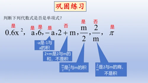 4.1 整式   课件-2024-2025学年人教版数学七年级上册