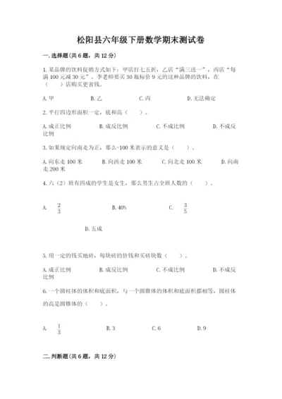 松阳县六年级下册数学期末测试卷精编答案.docx
