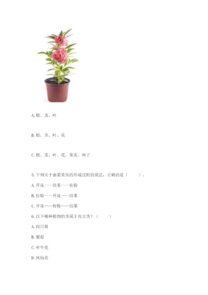 科学四年级下册第一单元《植物的生长变化》测试卷（全优）.docx