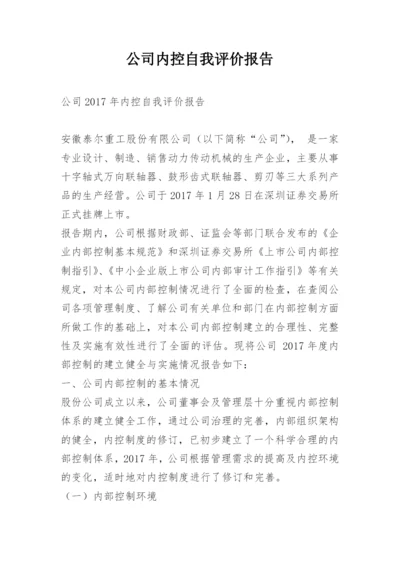 公司内控自我评价报告.docx